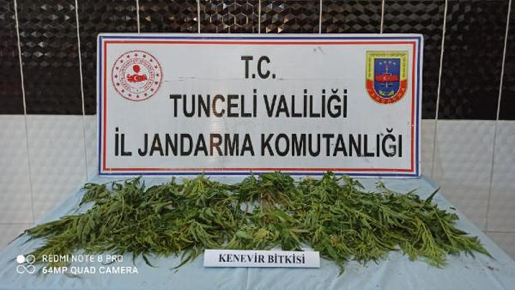 Tunceli'de uyuşturucu operasyonu