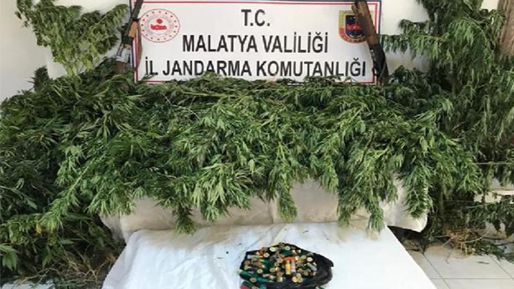 Malatya'da 3 bin 200 kök Hint keneviri ele geçirildi