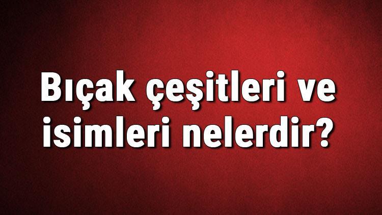 Bıçak çeşitleri ve isimleri nelerdir? Bıçak çeşitleri hakkında bilgiler