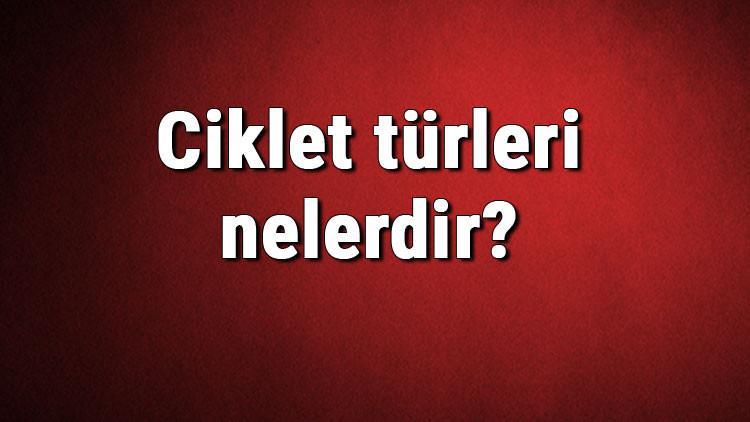 Ciklet türleri nelerdir? Ciklet çeşitleri ve isimleri hakkında bilgiler