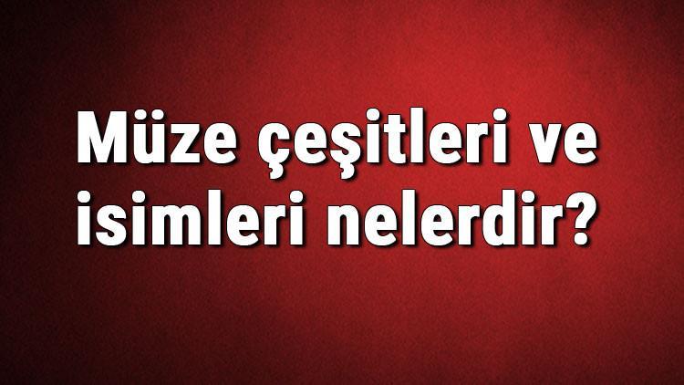Müze çeşitleri ve isimleri nelerdir? Müze çeşitleri hakkında bilgiler