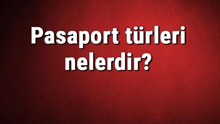 Pasaport türleri nelerdir? Pasaport çeşitleri ve isimleri hakkında bilgiler