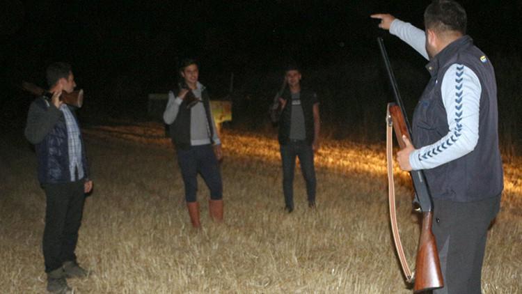 Mısırlarını domuzlardan korumak için gece silahlı nöbet tutuyorlar