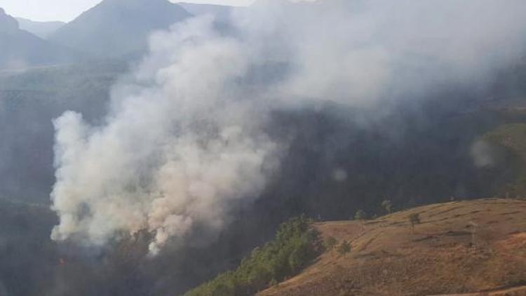 Adana'da orman yangını