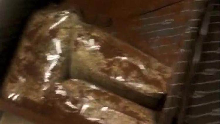 Narkotik köpeği koku almasın diye uyuşturucu dolu valizlere kahve dökmüşler