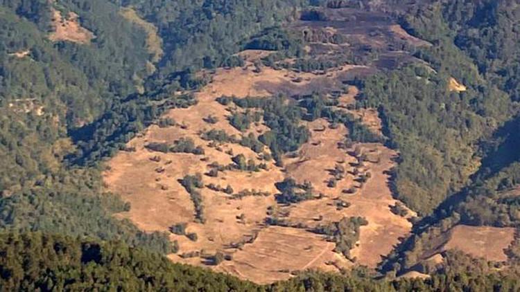 Zonguldak'ta ormanlık alanda çıkan yangın kontrol altına alındı