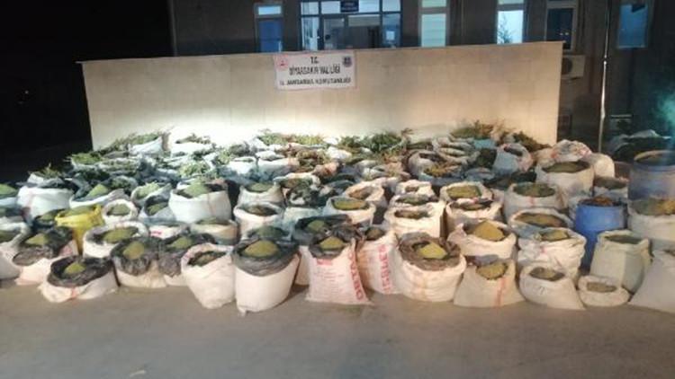 Diyarbakır'da 14 milyon kök kenevir, 5 ton esrar ele geçirildi