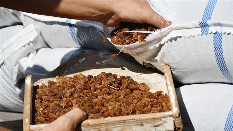 Bakan Pakdemirli açıkladı! 12 buçuk liranın altına inmeyecek