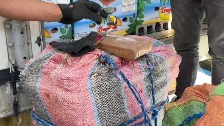 Muzların arasında bulundu... Tam 112 kilo!
