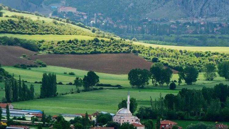 Tokat'ta 1 köy karantinaya alındı