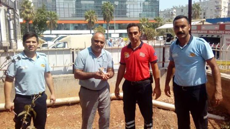 Su gider borusunda mahsur kalan yavru kedi kurtarıldı