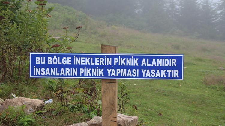 Yaylaya çöp bırakan piknikçilere tabelalı uyarı: Bu bölge ineklerin piknik alanıdır