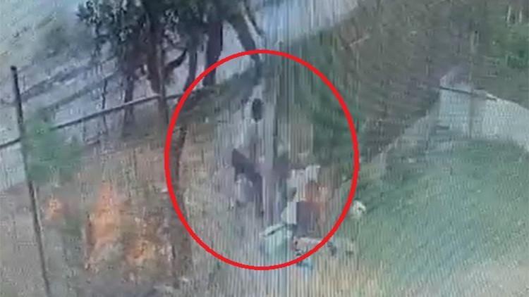Kameradaki hırsızlık şüphelileri tutuklandı
