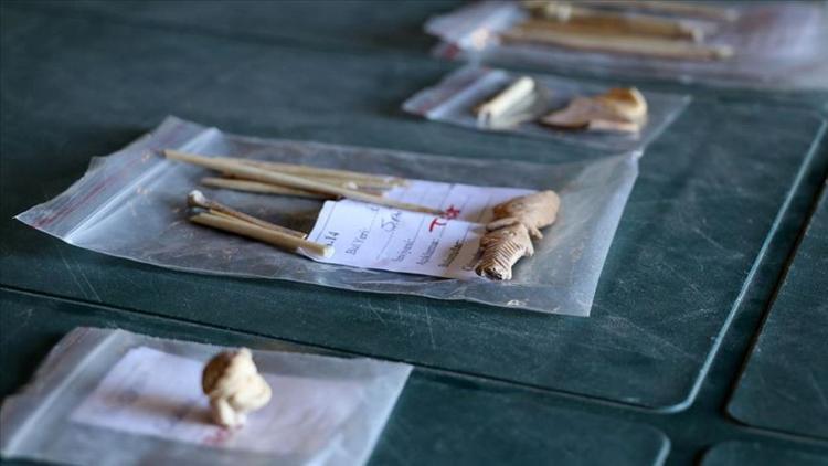 Antik kentten çıkarılan kemikler keçilerin DNA'sını aydınlatacak