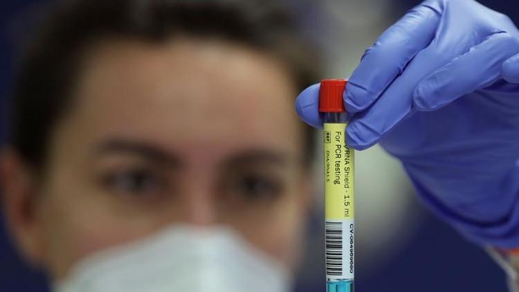 Kanada'da salmonella vakaları 500'ü aştı