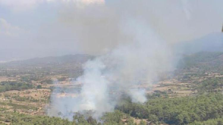 Son dakika... Muğla'da orman yangını