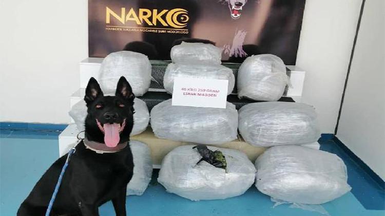 'Uzi’, TIR’daki 46 kilo 250 gram esrarı buldu