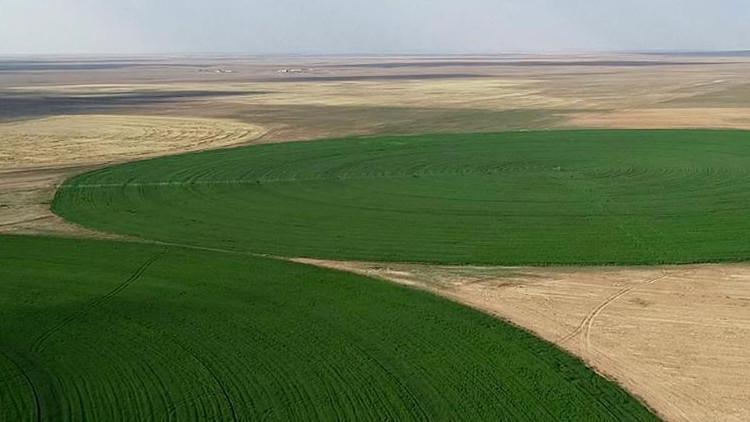 Hazineye ait tarım arazilerinde gençlere "pozitif ayrımcılık" talebi
