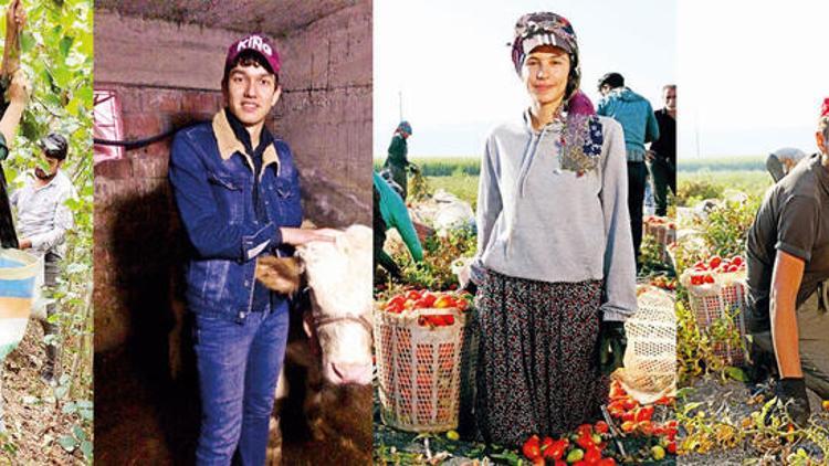 Tarlada açan çiçeklere TEV'den büyük destek