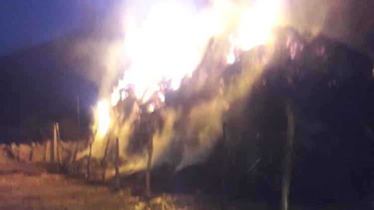 Ağrı'da 50 ton ot ve saman kül oldu