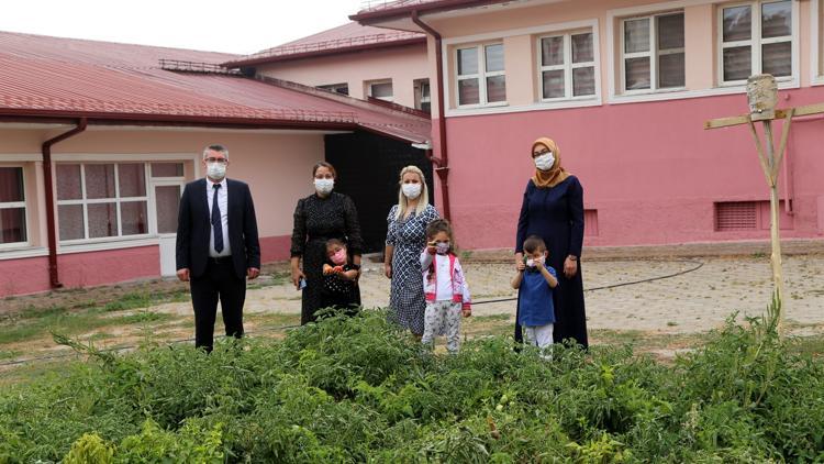 Çiftlik gibi okula uluslararası ödül