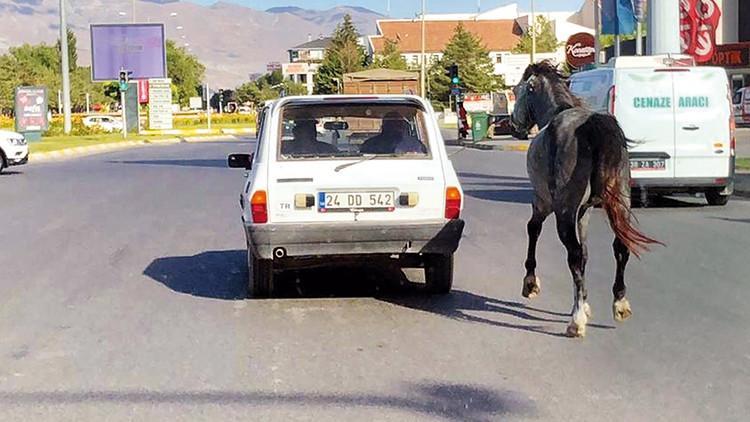 Vicdansızlar