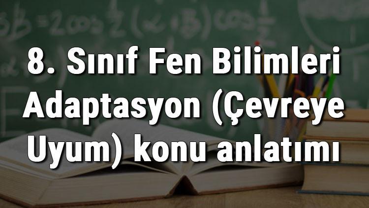 8. Sınıf Fen Bilimleri Adaptasyon (Çevreye Uyum) konu anlatımı
