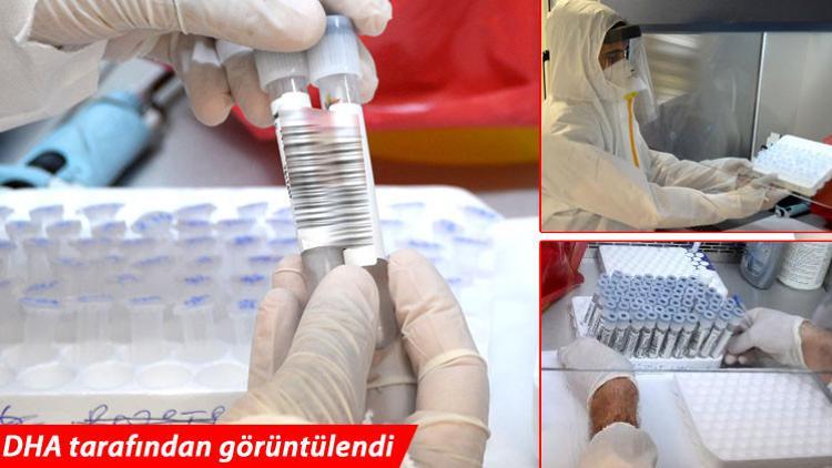 Son dakika haberler... 14 bin örnek üzerinde çalışıldı... Kesinlik oranı yüzde 100!