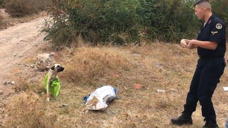 Vahşetin böylesi... Çanakkale’de tepki çeken olay!
