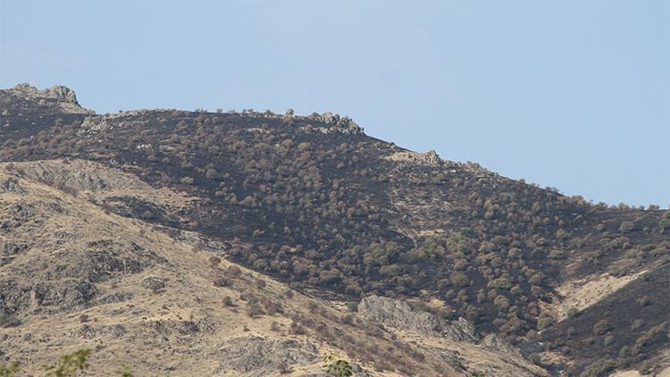Elazığ’daki orman yangını söndürüldü
