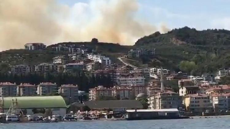 Son dakika... Bursa'da orman yangını