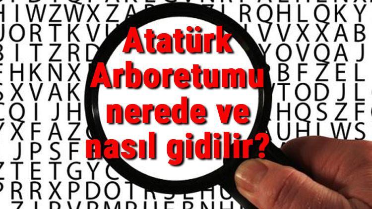 Atatürk Arboretumu nerede ve nasıl gidilir? Atatürk Arboretumu iletişim bilgileri, yeme, içme ve giriş ücreti (2020)