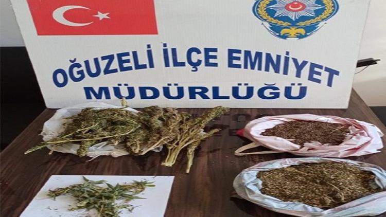 Brandaya gizlenen esrar maddesini narkotik köpeği buldu