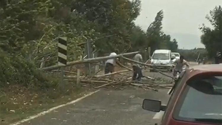 Bursa’da rüzgar ağaçları devirdi, yol trafiğe kapandı