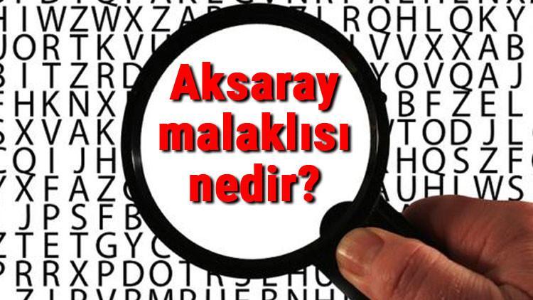 Aksaray malaklısı nedir? Aksaray malaklısı özellikleri, boyu, uzunluğu ve yavruları hakkında bilgi
