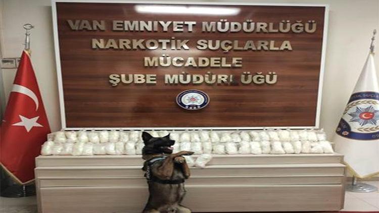 Kamyonetteki uyuşturucuyu ’Bozo’ buldu