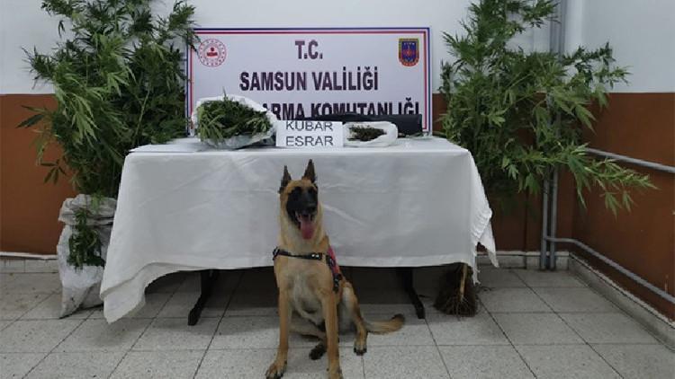 Samsun’da uyuşturucuya geçit yok