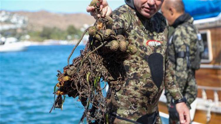 Bodrum’da deniz dibinden 257 kilogram katı atık çıkarıldı