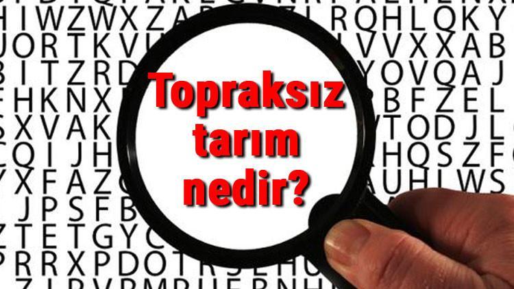 Topraksız tarım nedir ve nasıl yapılır? Topraksız tarım malzemeleri ve maliyeti