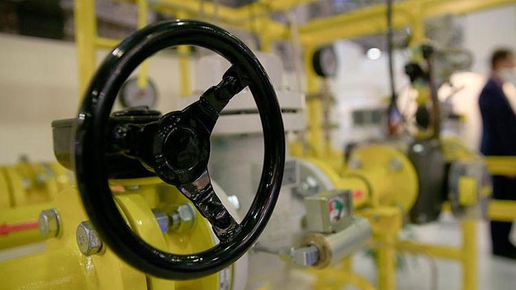 Yerli üretim doğal gaz ticaretine destek
