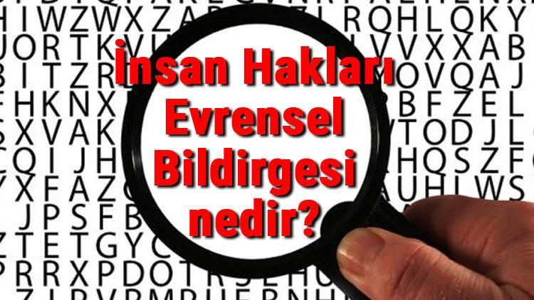 İnsan Hakları Evrensel Bildirgesi nedir ve ne zaman kabul edildi? İnsan Hakları Evrensel Bildirgesi tarihi hakkında bilgi