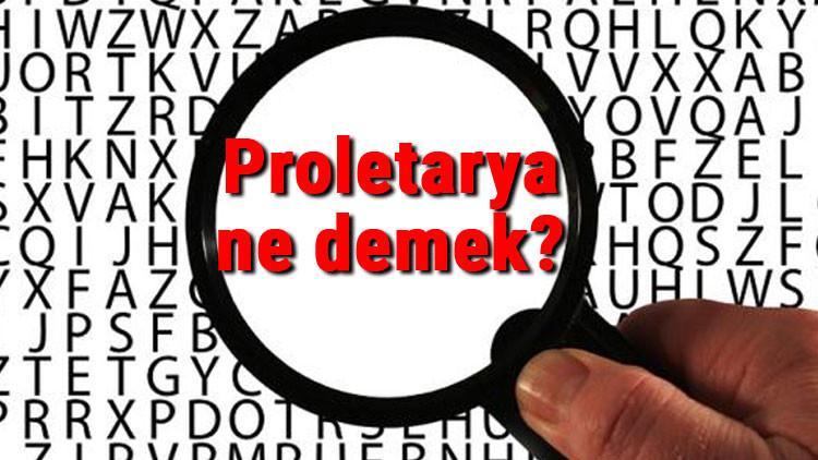 Proletarya ne demek? Proletarya diktatörlüğü ve devrimi nedir?