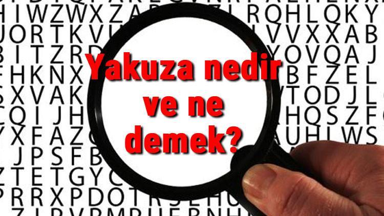 Yakuza nedir ve ne demek? Japon mafyası Yakuza hakkında ilginç bilgiler