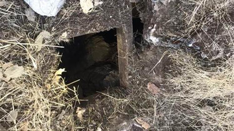 Mardin'de PKK'lı teröristlerin kullandığı sığınakta patlayıcı ele geçirildi