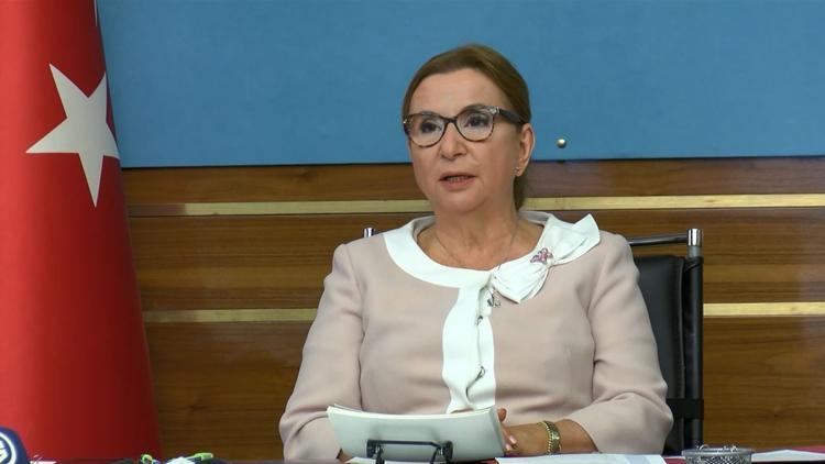 Bakan Pekcan: Afrika ile 18,2 milyar dolarlık ticaret hacmine ulaştık