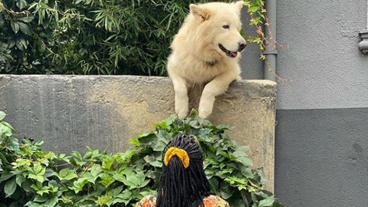 Halsey, Kuzguncuk’un maskot köpeği Rocky’le