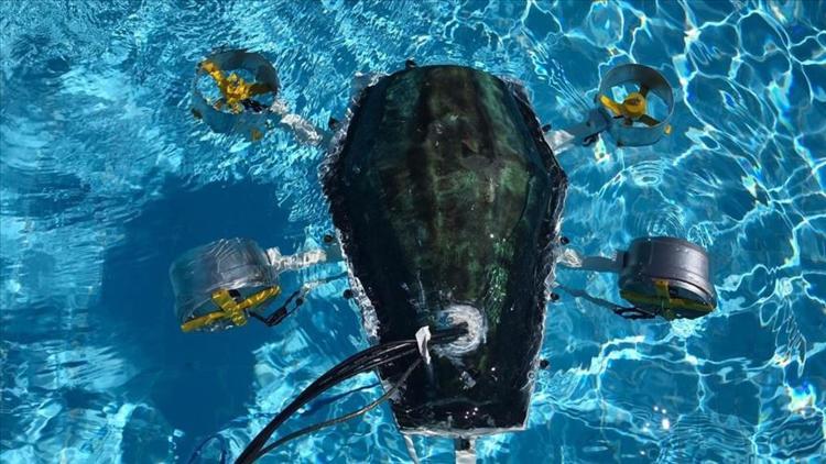 Üniversiteli gençler 'su altı drone' prototipi üretti
