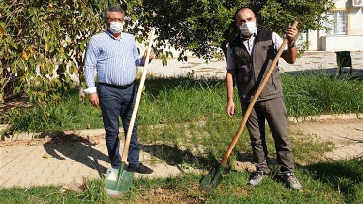 Gazipaşa’da iki okul bahçesine fidan dikildi