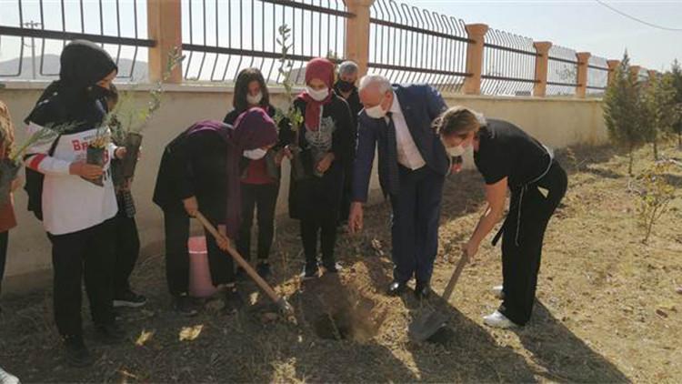Öğretmen ve öğrenciler okul bahçesine fidan dikti