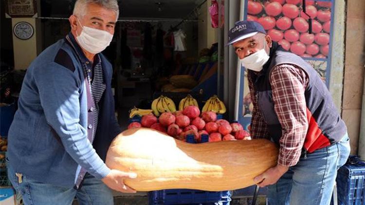 Kayseri’de 36 kilo ağırlığındaki kabak dikkat çekiyor